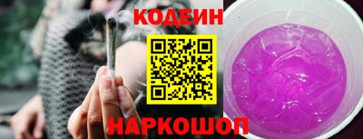 индика Сланцы