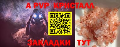 индика Сланцы