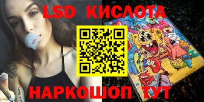 индика Сланцы
