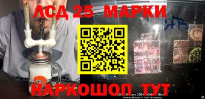 индика Сланцы