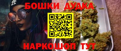 прущие грибы Славгород