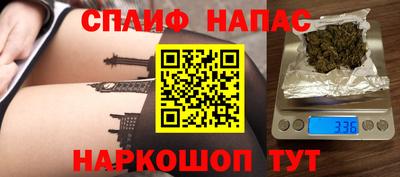 прущие грибы Славгород