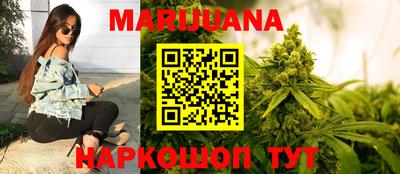 индика Сланцы