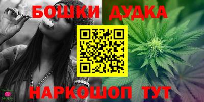 индика Сланцы