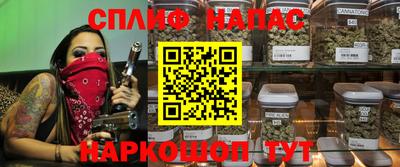 индика Сланцы
