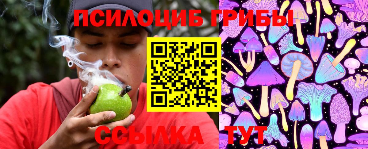 Белореченск  Галлюциногенные грибы Cubensis  Вход с VPN  Псилоцибиновые грибы мицелий 