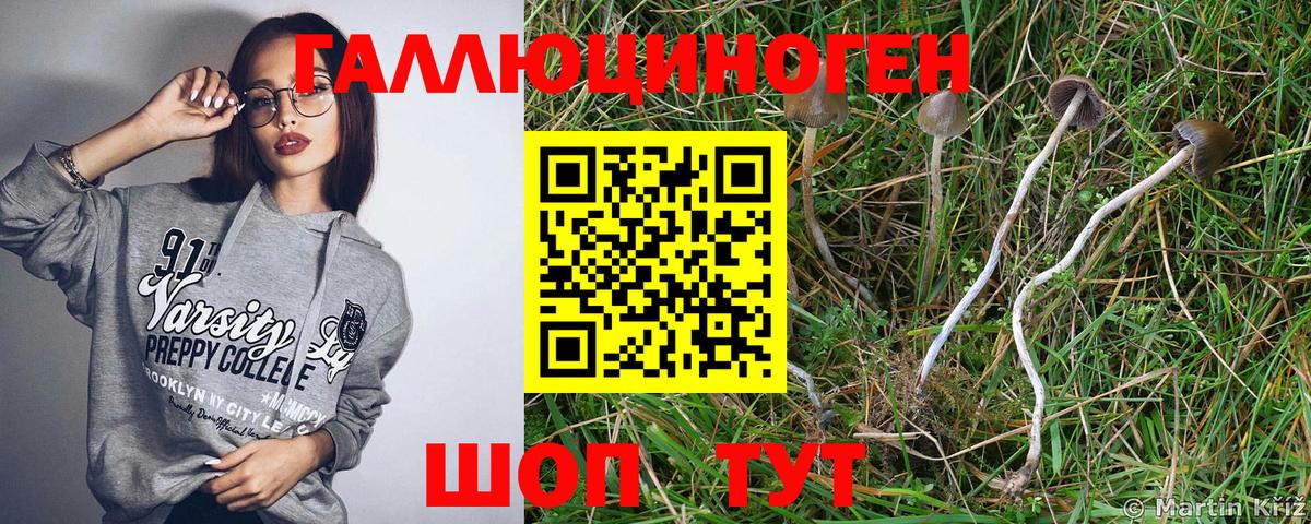 Галлюциногенные грибы MAGIC MUSHROOMS Белореченск